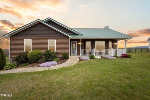 412 Katie Lane, Chuckey, TN 37641