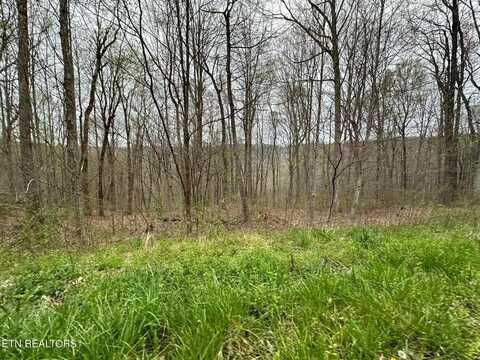 Apache Road Lot 30, Jamestown, TN 38556