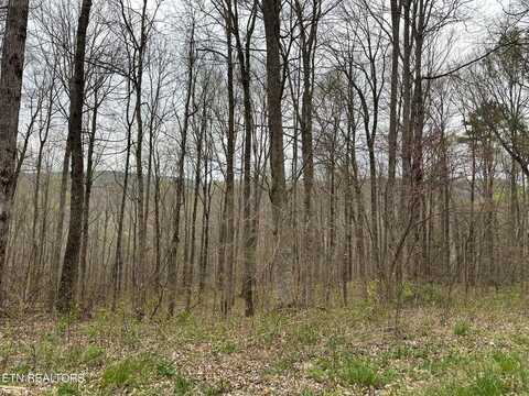 Apache Rd Lot 30&78, Jamestown, TN 38556