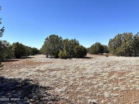 TBD Parcel J N8124, Concho, AZ 85924