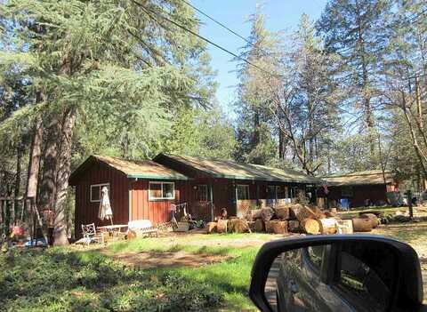 Oak, GRASS VALLEY, CA 95945