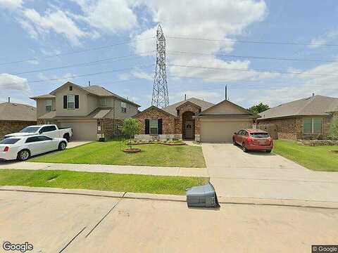 Canadian Goose, BAYTOWN, TX 77521