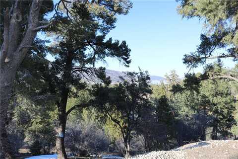 536 Marlowe Drive, Big Bear City, CA 92314