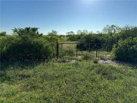 0 County Road 2391, Orange Grove, TX 78372