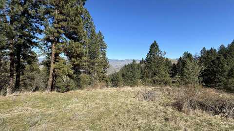 Tbd Saddle Ridge Rd, White Bird, ID 83544