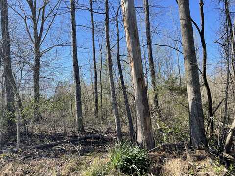 Lot #1 Hubble Acres, Eubank, KY 42567