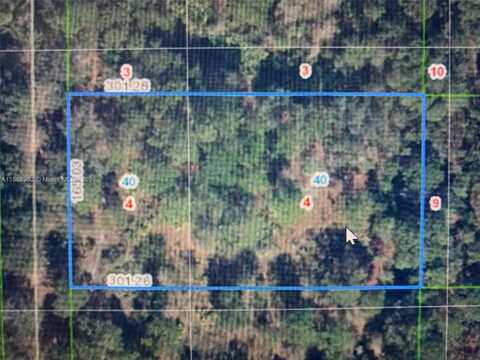 1939 S Griese Road, Avon Park, FL 33825