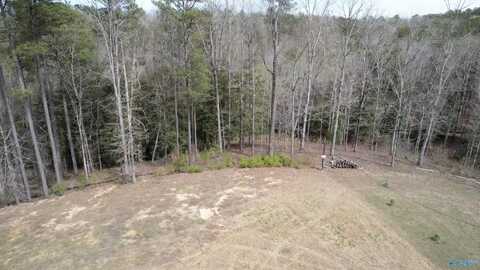 101 & 102 Sipsey Overlook Road, Double Springs, AL 35553