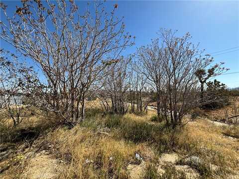 6453 Linda Lee Drive, Yucca Valley, CA 92284