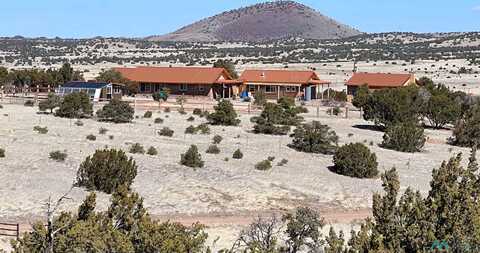 455 Cimarron Drive, Quemado, NM 87829