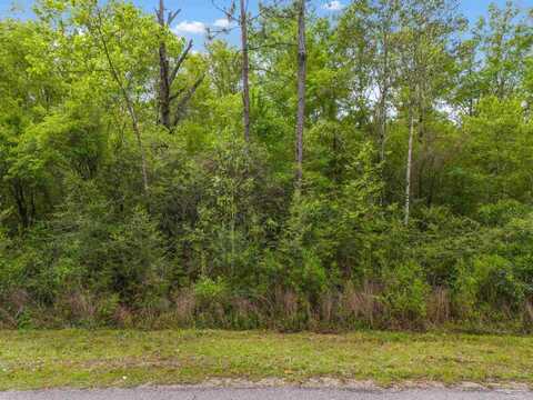 Lot 25 Mineral Springs Rd, Jay, FL 32565