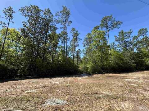 10335 Chumuckla Springs Rd, Jay, FL 32565