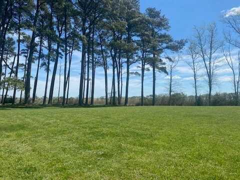 Lot 43 FIGGS CIRCLE, PARKSLEY, VA 23421