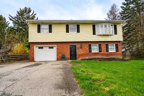 3 Haines Ct, Franklin, NJ 07416