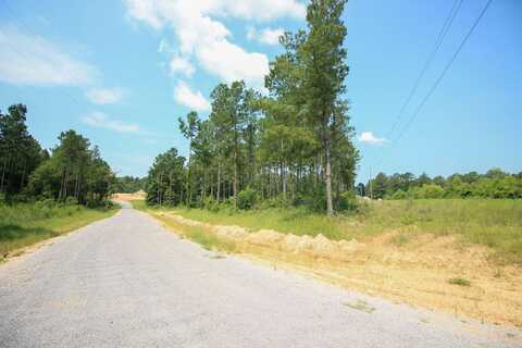 0000 Frontier Bend, Sumrall, MS 39465