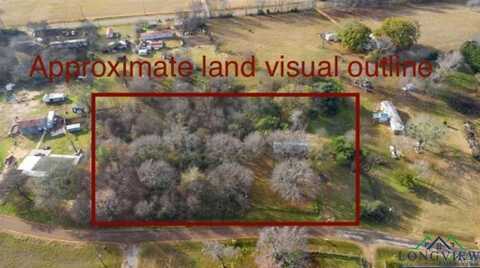 23500 CR 3199, Overton, TX 75684