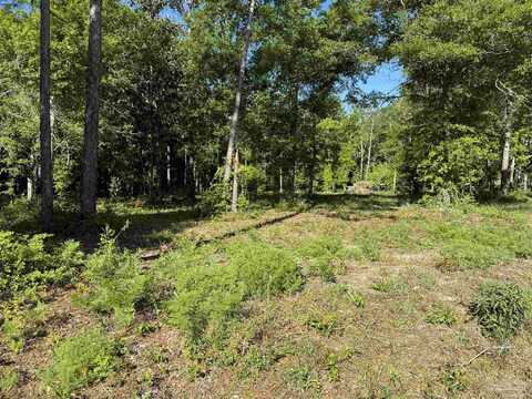 0 Tarklin View Dr, Lillian, AL 36549