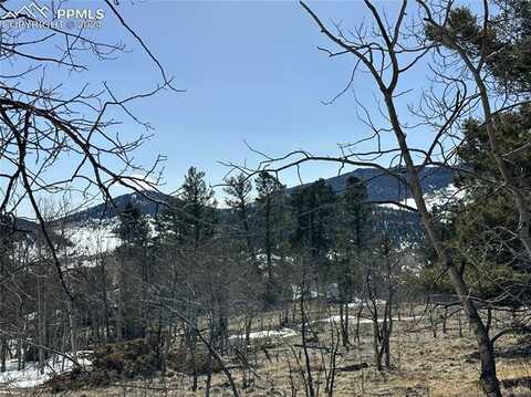 106 Bear View Lane, Guffey, CO 80820