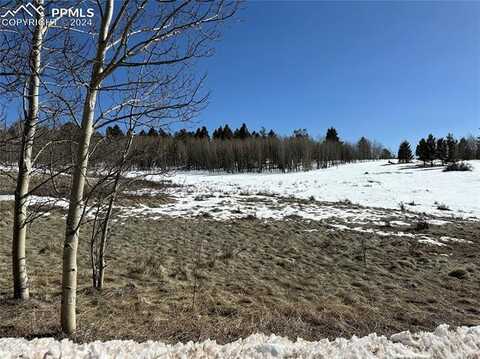 42 Bear View Lane, Guffey, CO 80820