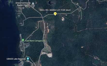 00 DELL, Bainbridge, GA 39819