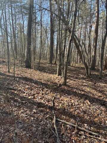 Lot 354 Hood Lane, WILDER, TN 38589