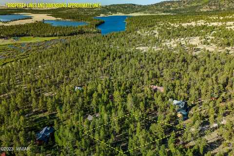 9 N1064, Greer, AZ 85927