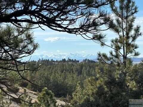 Lot 50 Buckskin Drive, Reed Point, MT 59069