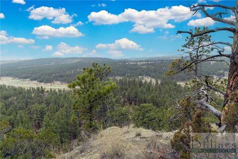 Tbd Harper Coulee Road, Roundup, MT 59072