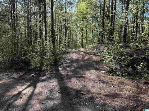 0 COUNTY ROAD 480, WOODLAND, AL 36280