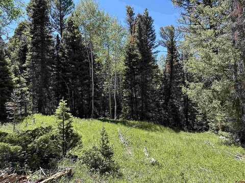 433 Juniper Drive, Cimarron, CO 81220