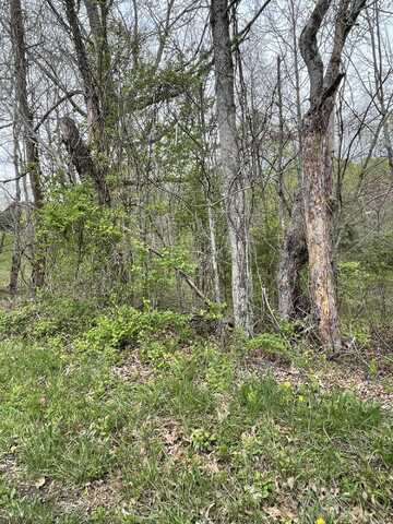 1 A Possum Hollow Road, Beattyville, KY 41311