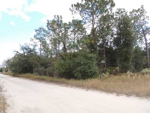 12910 NE 12TH STREET, WILLISTON, FL 32696