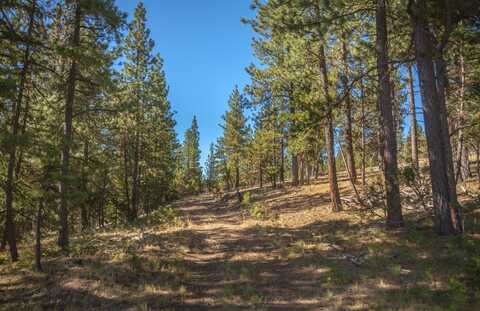 TBD Loften Creek Road, Prineville, OR 97754