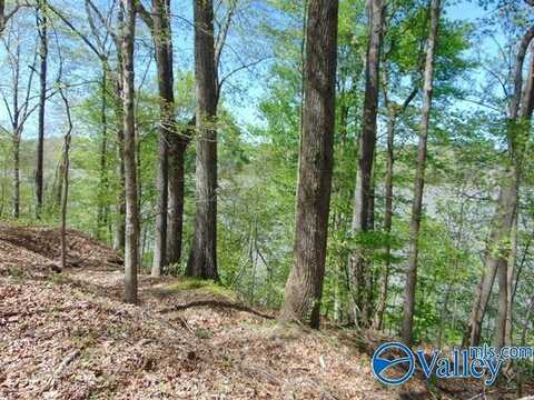 18288 Blue Springs Road, Athens, AL 35611