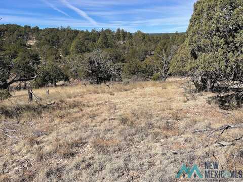 Lot 28 Bronco Drive, Timberon, NM 88350