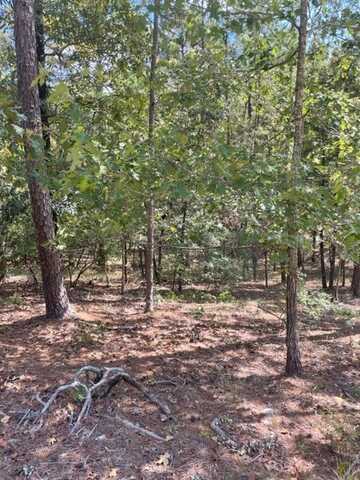 2 Kingfisher Trails Subdivision, Broken Bow, OK 74728