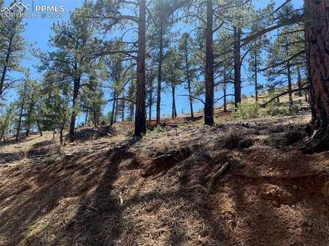 15421 Westcreek Road, Woodland Park, CO 80863