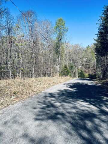 3.68 Ac Oak Hills Drive, Spring City, TN 37381