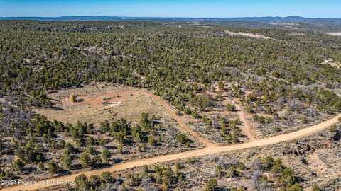 X ROAD 4049, Navajo Dam, NM 87419