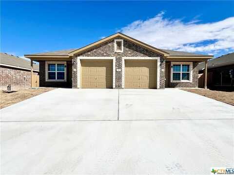 217 Dolphin Drive, Temple, TX 76501
