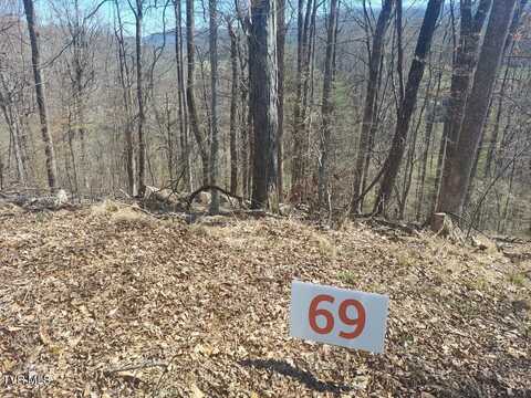 69 Country Club Road, Unicoi, TN 37692