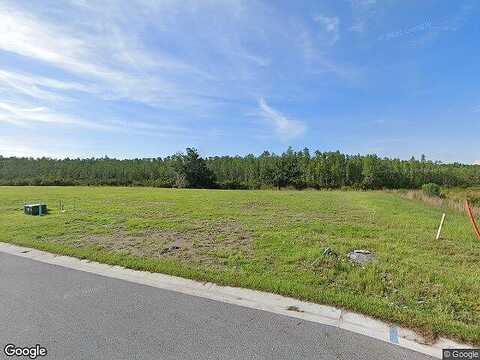 Marsh Trail, ODESSA, FL 33556