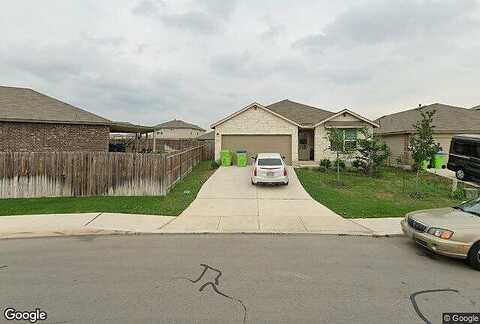 Welsh Pony, SAN ANTONIO, TX 78254