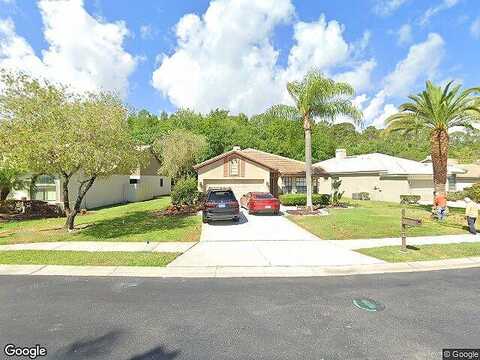 Darston, PALM HARBOR, FL 34685