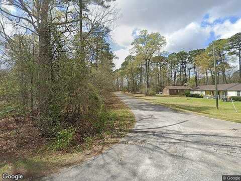 Pine Needle Ct, TARBORO, NC 27886