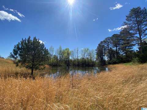 2590 LEVINE ROAD, ODENVILLE, AL 35120