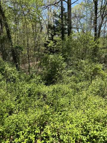 22 Hidden Ridge Loop, Dunlap, TN 37327