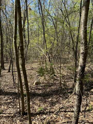 3 Hidden Ridge Loop, Dunlap, TN 37327