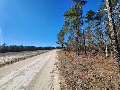 TBD Tansy Rd., Loris, SC 29569