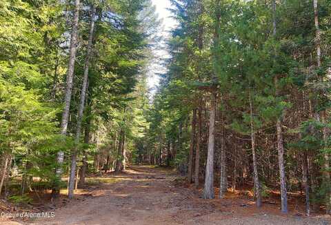 Nka Wandering Wolf Ridge, Lot 3, Clark Fork, ID 83811